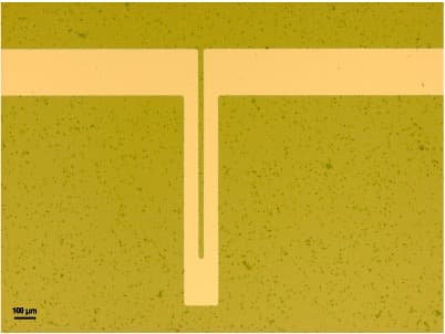 Optical micrograph of the active heater layer, a U-shaped metal trace on the substrate, with a 100 micrometer scale bar