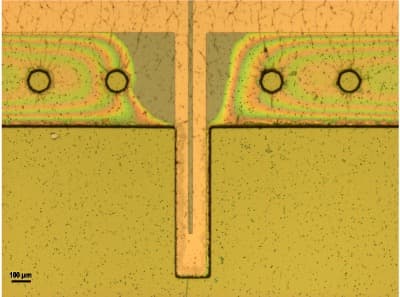Optical micrograph of the passive SU-8 layer showing the release holes and thin-film interference fringes near the trace boundary, with a 100 micrometer scale bar