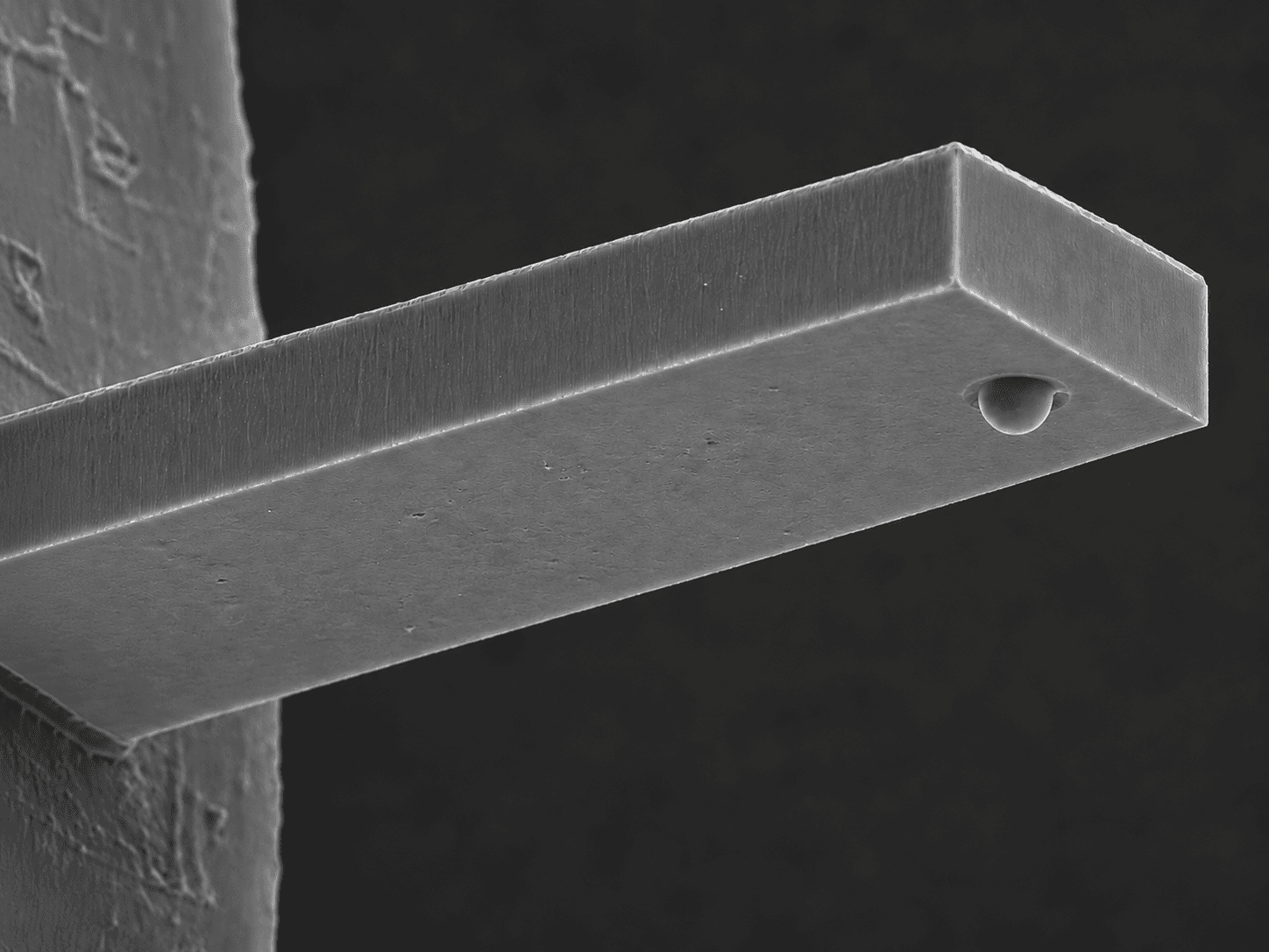 Integrated Colloidal Scanning Probe Platform