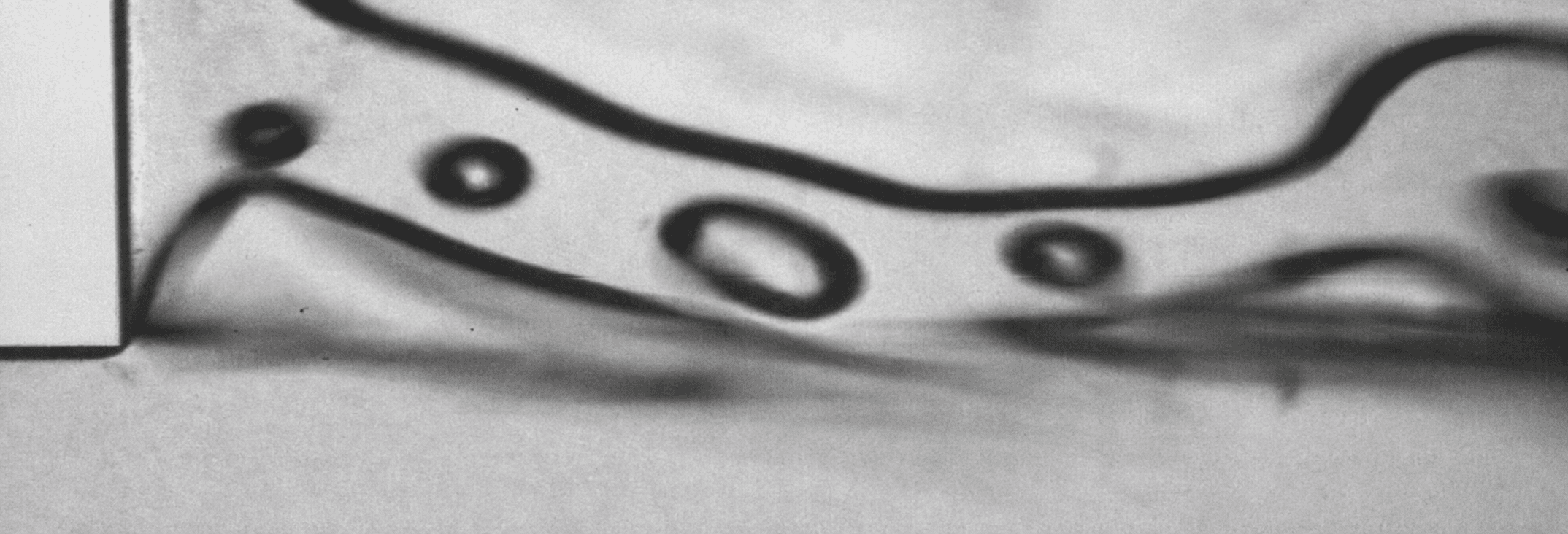 High-speed image of downstream bubble morphology following cavitation collapse