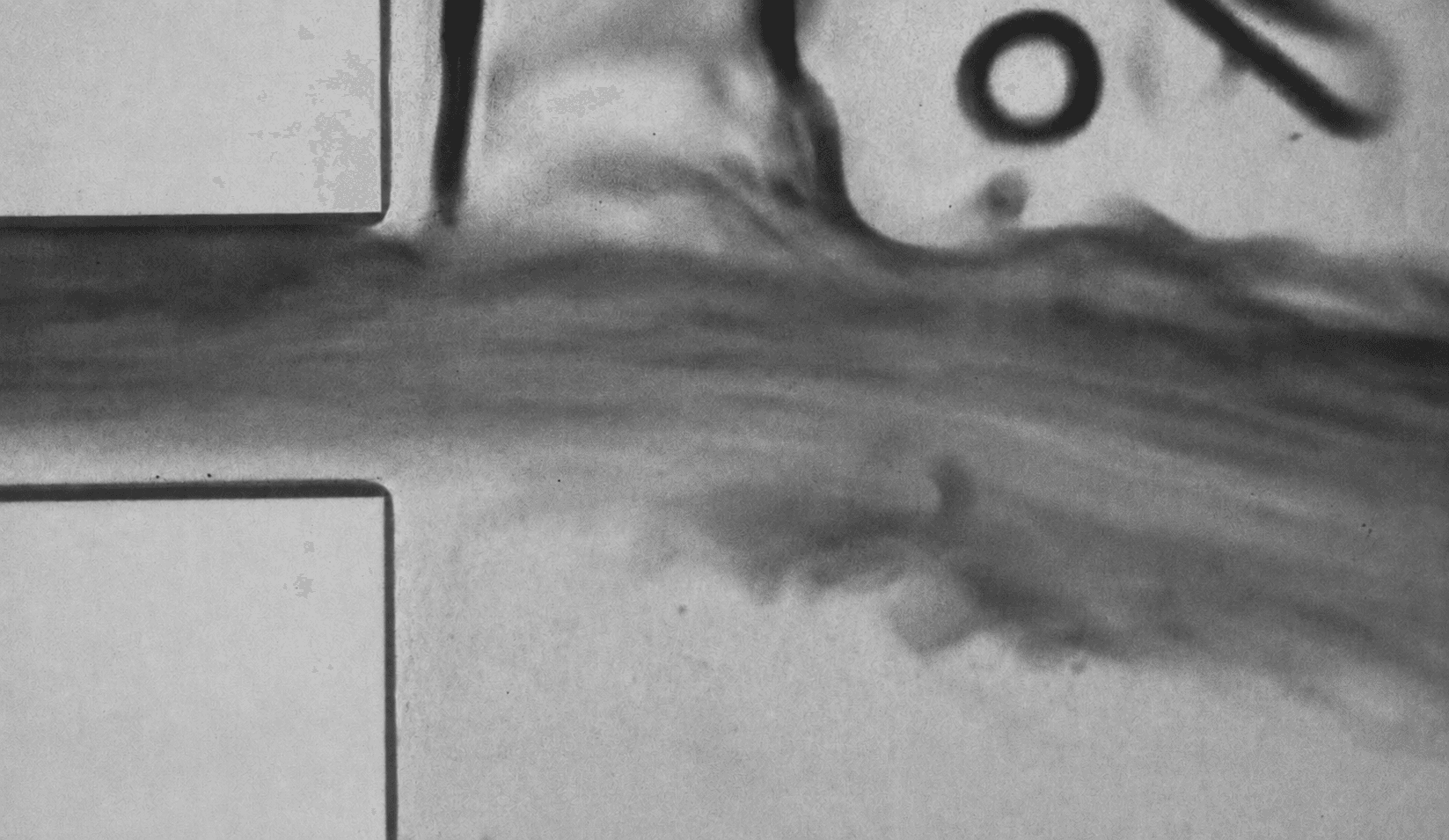 High-speed image of fully developed oscillating cavitating flow across the orifice array