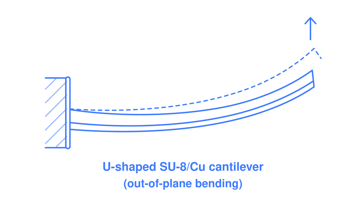Diagram of a U-shaped SU-8/Cu cantilever bending out of plane from a fixed wall, labeled 'U-shaped SU-8/Cu cantilever (out-of-plane bending)'