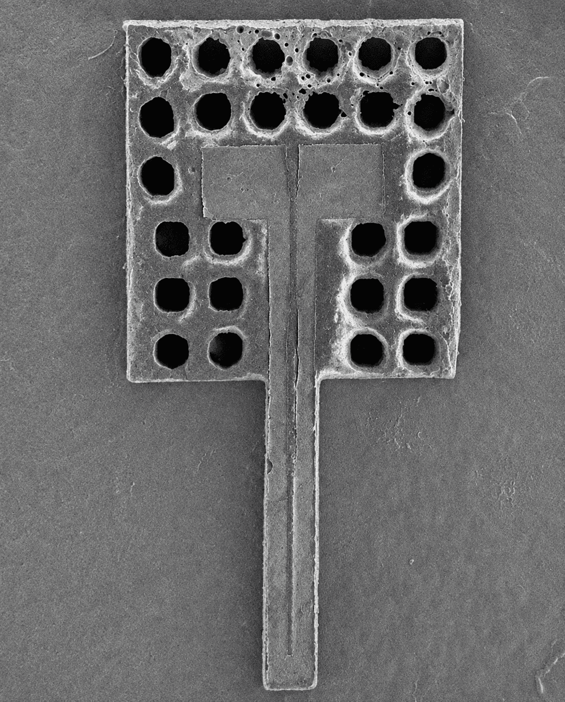 SEM image of the released SU-8/Cu thermal actuator ready for measurement